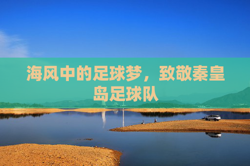 海风中的足球梦,致敬秦皇岛足球队