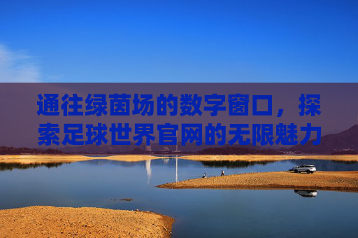 通往绿茵场的数字窗口,探索足球世界官网的无限魅力