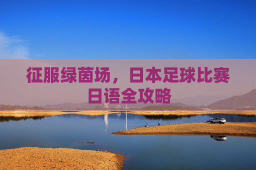 征服绿茵场,日本足球比赛日语全攻略