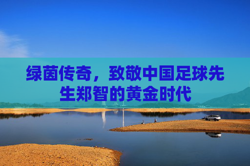 绿茵传奇,致敬中国足球先生郑智的黄金时代