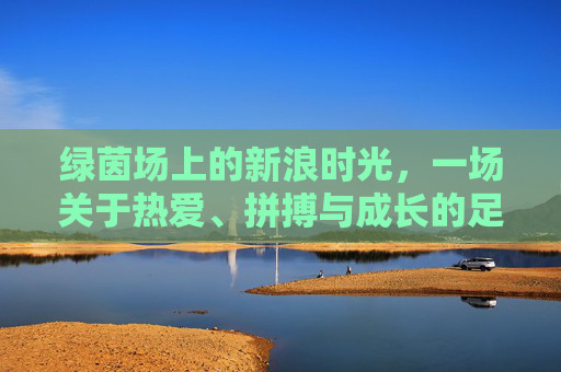 绿茵场上的新浪时光,一场关于热爱、拼搏与成长的足球人生