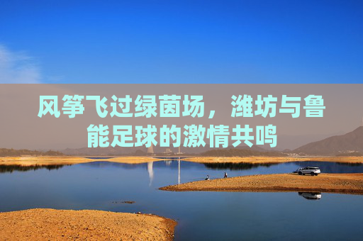 风筝飞过绿茵场，潍坊与鲁能足球的激情共鸣
