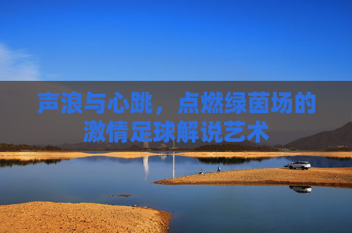声浪与心跳,点燃绿茵场的激情足球解说艺术