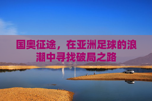 国奥征途,在亚洲足球的浪潮中寻找破局之路