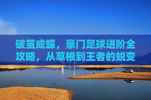 破茧成蝶,豪门足球进阶全攻略,从草根到王者的蜕变