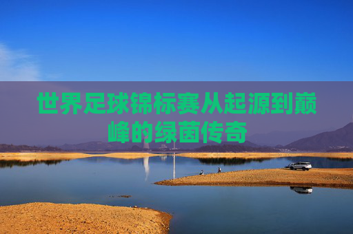 世界足球锦标赛从起源到巅峰的绿茵传奇