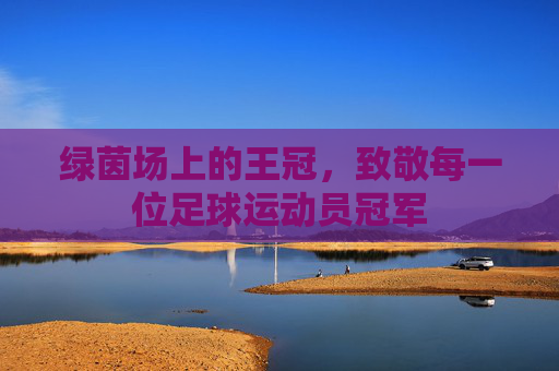 绿茵场上的王冠,致敬每一位足球运动员冠军