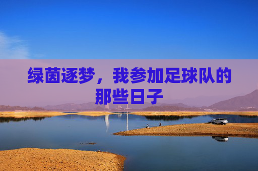 绿茵逐梦,我参加足球队的那些日子