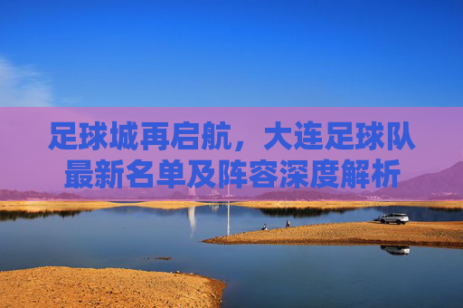 足球城再启航,大连足球队最新名单及阵容深度解析
