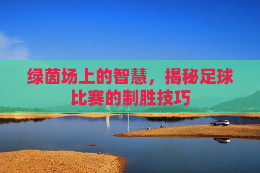 绿茵场上的智慧,揭秘足球比赛的制胜技巧