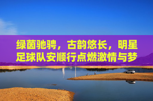 绿茵驰骋,古韵悠长,明星足球队安顺行点燃激情与梦想