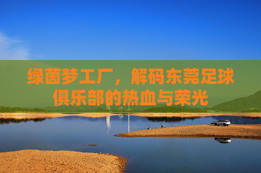 绿茵梦工厂,解码东莞足球俱乐部的热血与荣光