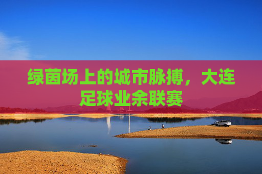绿茵场上的城市脉搏,大连足球业余联赛