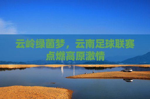 云岭绿茵梦,云南足球联赛点燃高原激情
