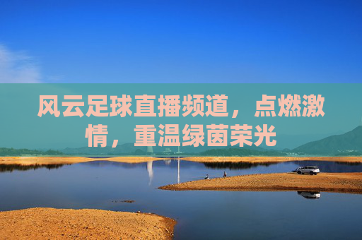 风云足球直播频道,点燃激情,重温绿茵荣光