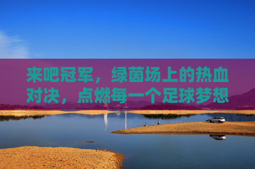 来吧冠军,绿茵场上的热血对决,点燃每一个足球梦想