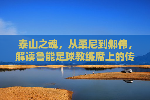 泰山之魂,从桑尼到郝伟,解读鲁能足球教练席上的传承与变革