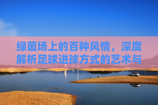 绿茵场上的百种风情,深度解析足球进球方式的艺术与技巧