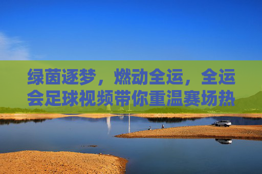 绿茵逐梦,燃动全运,全运会足球视频带你重温赛场热血与感动