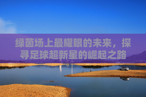 绿茵场上最耀眼的未来,探寻足球超新星的崛起之路