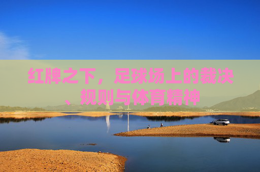 红牌之下,足球场上的裁决、规则与体育精神