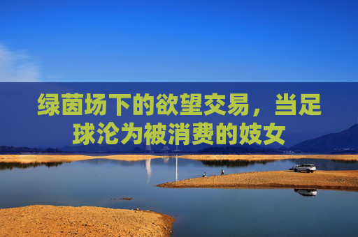 绿茵场下的欲望交易,当足球沦为被消费的妓女