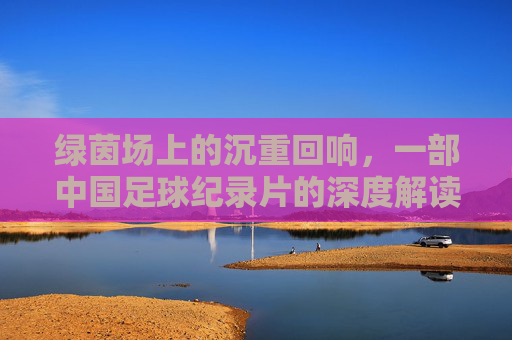 绿茵场上的沉重回响,一部中国足球纪录片的深度解读