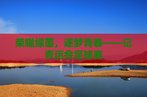 荣耀绿茵，逐梦青春——记青运会足球赛