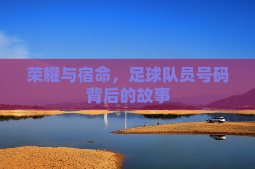 荣耀与宿命,足球队员号码背后的故事
