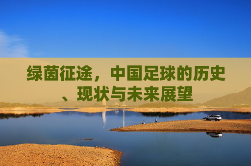 绿茵征途,中国足球的历史、现状与未来展望