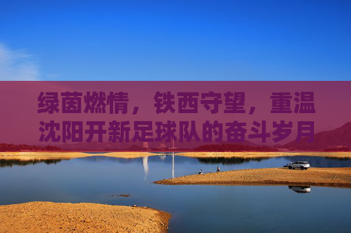 绿茵燃情，铁西守望，重温沈阳开新足球队的奋斗岁月