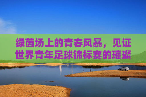 绿茵场上的青春风暴，见证世界青年足球锦标赛的璀璨星光