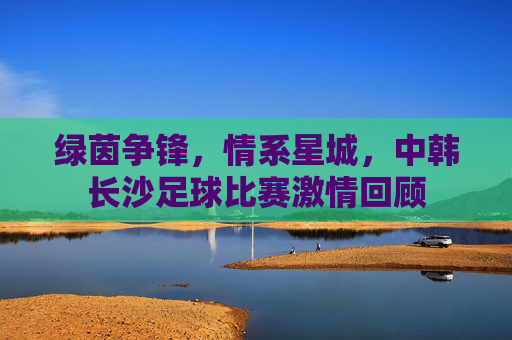 绿茵争锋,情系星城,中韩长沙足球比赛激情回顾