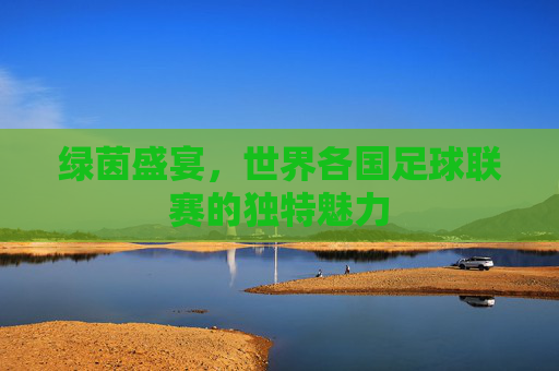 绿茵盛宴,世界各国足球联赛的独特魅力