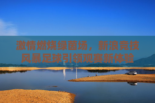 激情燃烧绿茵场,新浪竞技风暴足球引领观赛新体验