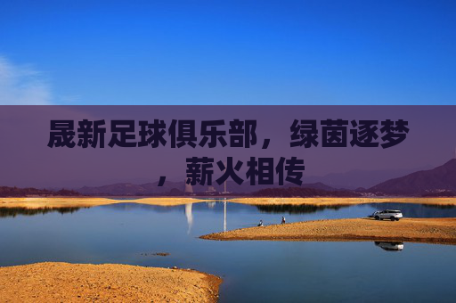 晟新足球俱乐部,绿茵逐梦,薪火相传