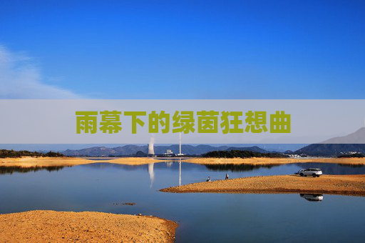 雨幕下的绿茵狂想曲