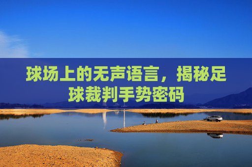 球场上的无声语言,揭秘足球裁判手势密码