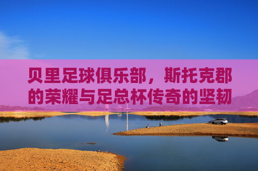 贝里足球俱乐部,斯托克郡的荣耀与足总杯传奇的坚韧回响