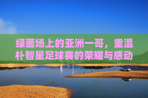 绿茵场上的亚洲一哥,重温朴智星足球赛的荣耀与感动