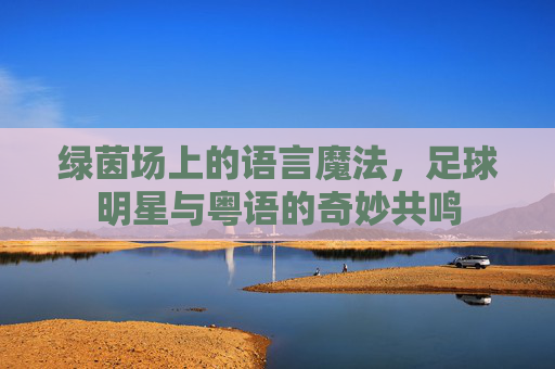 绿茵场上的语言魔法，足球明星与粤语的奇妙共鸣