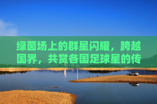 绿茵场上的群星闪耀,跨越国界,共赏各国足球星的传奇风采