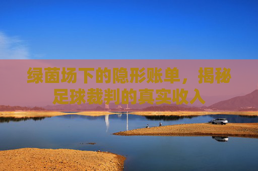 绿茵场下的隐形账单,揭秘足球裁判的真实收入