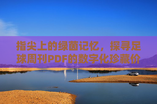 指尖上的绿茵记忆，探寻足球周刊PDF的数字化珍藏价值
