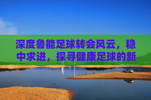 深度鲁能足球转会风云，稳中求进，探寻健康足球的新篇章