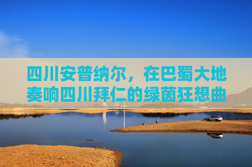 四川安普纳尔,在巴蜀大地奏响四川拜仁的绿茵狂想曲