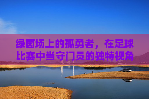 绿茵场上的孤勇者,在足球比赛中当守门员的独特视角