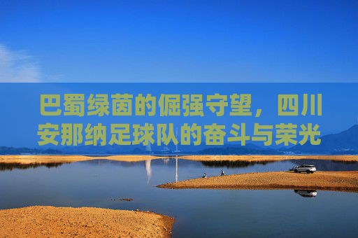 巴蜀绿茵的倔强守望,四川安那纳足球队的奋斗与荣光