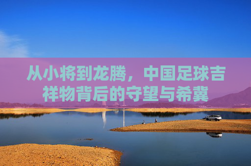 从小将到龙腾,中国足球吉祥物背后的守望与希冀