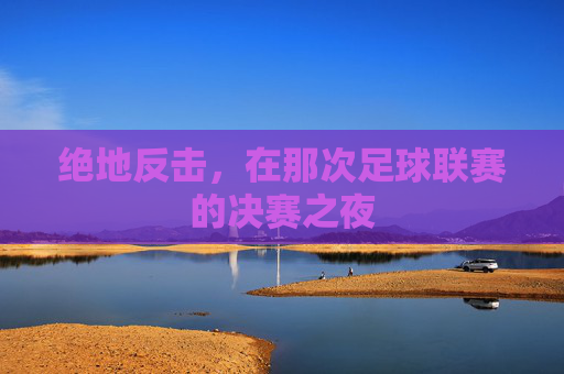 绝地反击,在那次足球联赛的决赛之夜